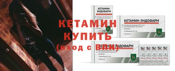 ECSTASY Ельня