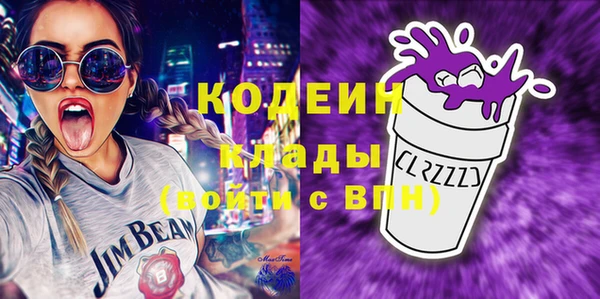 ECSTASY Ельня