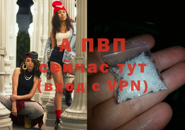 ECSTASY Ельня