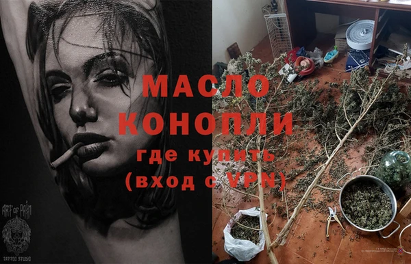 ECSTASY Ельня